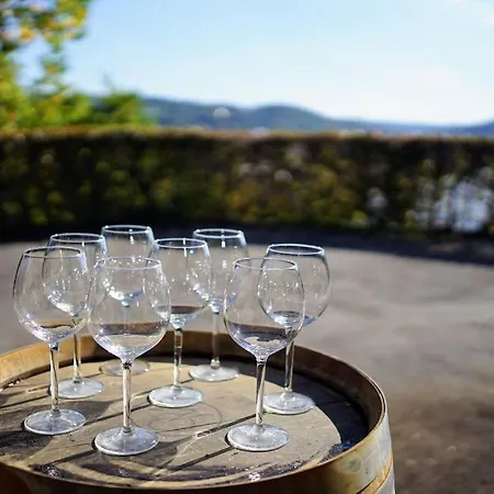 D'hestia - Avec Vue Imprenable Sur * Huy